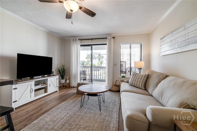 1217 Bay St Unit 105A, Tybee Island, GA 31328 - living area featuring a textured ceiling, wood finished floors, ornamental molding, and ceiling fan