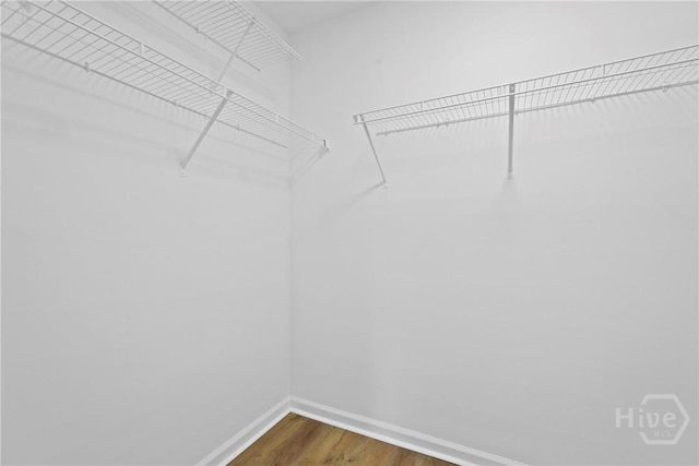 3 Chandler Bluff Dr, Savannah, GA 31407 - walk in closet featuring dark wood finished floors