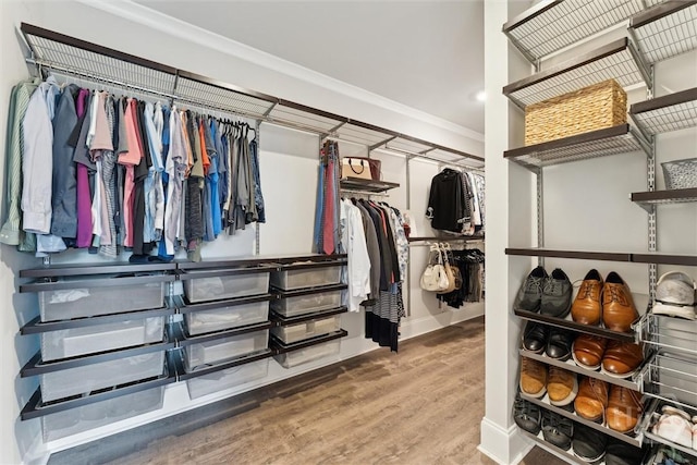 117 Oakcrest Dr W, Savannah, GA 31405 - walk in closet with wood finished floors