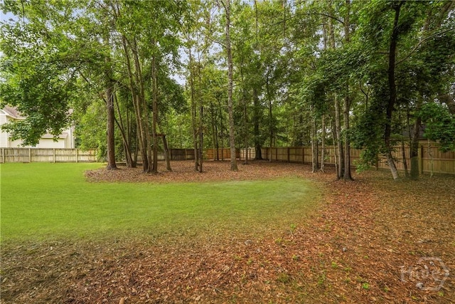 440 Beauly Dr, Richmond Hill, GA 31324 - photo 38