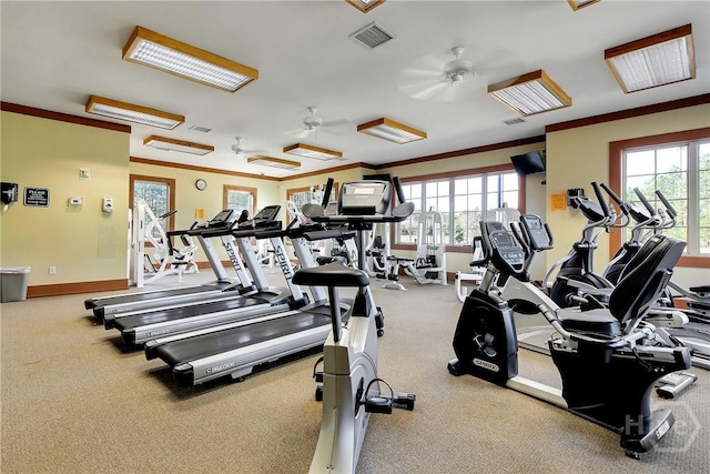175 Willow Point Cir, Savannah, GA 31407 - exercise room with healthy amount of natural light, ceiling fan, carpet flooring, and crown molding