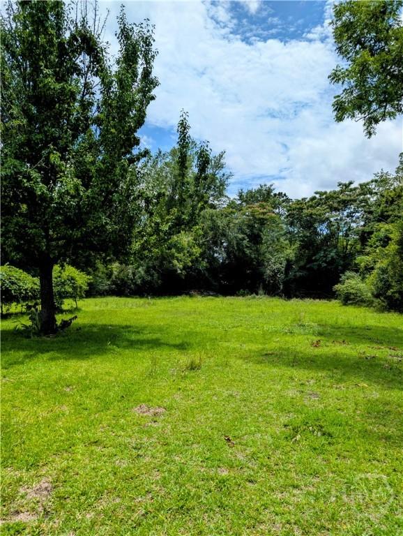 912 5th Ave, Twin City, GA 30471 - view of grassy yard