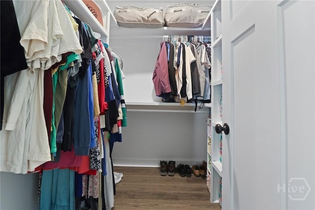 1003 Dolphin Ct, Townsend, GA 31331 - walk in closet with wood finished floors
