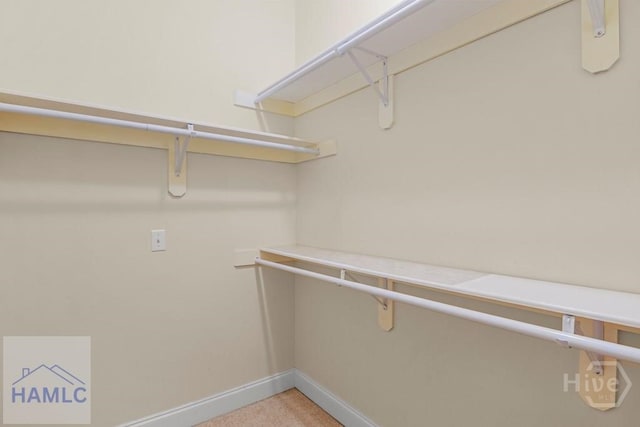 432 Cypress Creek Dr NE, Ludowici, GA 31316 - spacious closet featuring light carpet