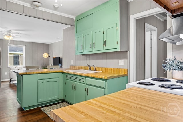 1915 Hawthorne St, Savannah, GA 31404 - kitchen featuring wall chimney exhaust hood, green cabinets, a peninsula, dark wood-type flooring, and ceiling fan