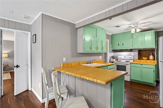 1915 Hawthorne St, Savannah, GA 31404 - kitchen featuring electric range, ornamental molding, dark wood-type flooring, a peninsula, and under cabinet range hood