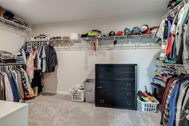 151 Excel Dr, Richmond Hill, GA 31324 - walk in closet with carpet