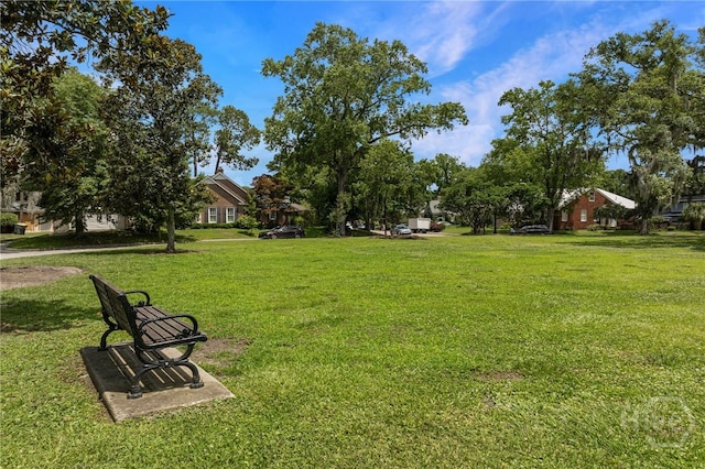 316 E 51st St, Savannah, GA 31405 - view of grassy yard