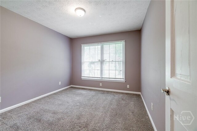 41 Barrington Cir, Savannah, GA 31419 - empty room with carpet and a textured ceiling
