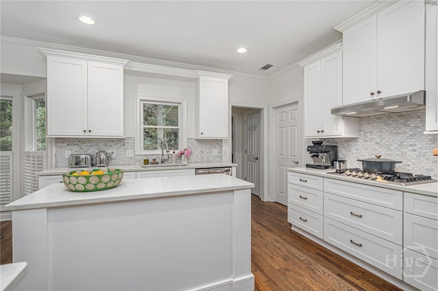 3 Franklin Creek Rd S, Savannah, GA 31411 - kitchen featuring appliances with stainless steel finishes, under cabinet range hood, white cabinets, ornamental molding, and recessed lighting