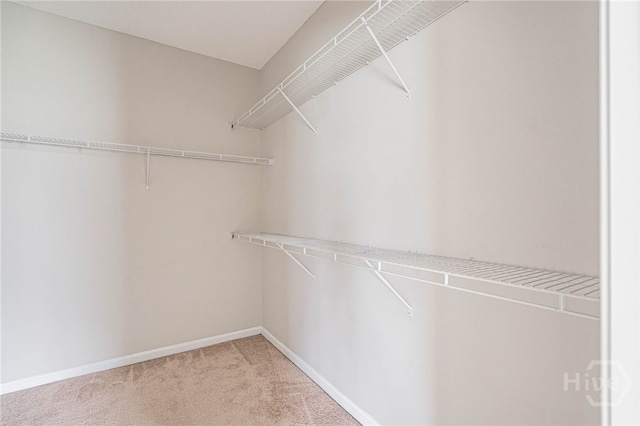 1506 Bayberry Dr, Hinesville, GA 31313 - spacious closet featuring light carpet