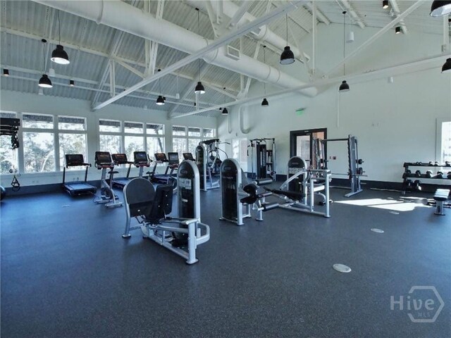 370 Blackjack Oak Dr W, Richmond Hill, GA 31324 - workout area featuring high vaulted ceiling and healthy amount of natural light