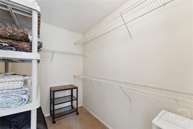 12300 Apache Ave Unit 1003, Savannah, GA 31419 - spacious closet featuring carpet flooring