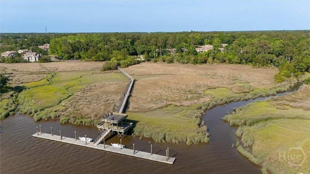12300 Apache Ave Unit 1003, Savannah, GA 31419 - bird's eye view of a large body of water and a forest