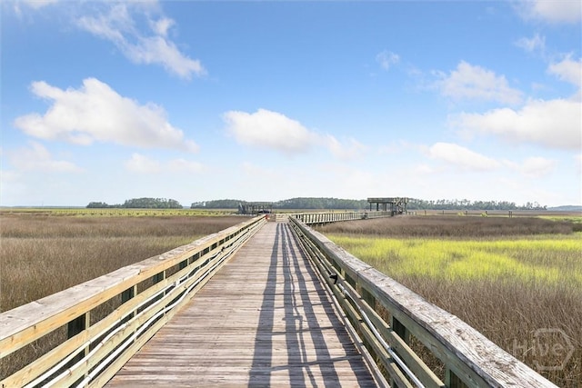 12300 Apache Ave Unit 1003, Savannah, GA 31419 - dock with a rural view
