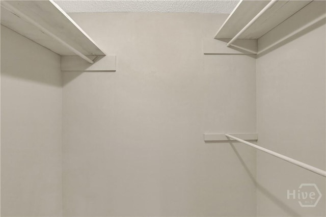 25 Colony Park Dr, Savannah, GA 31406 - view of walk in closet