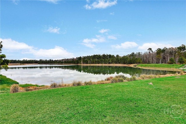 18 Old Bridge Dr, Pooler, GA 31322 - photo 40