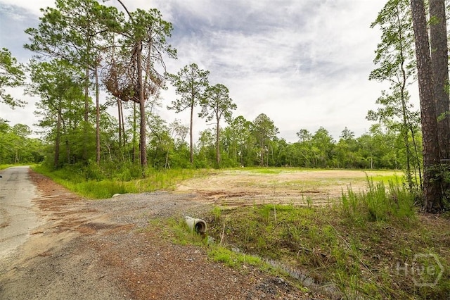0 Zettler Rd, Springfield, GA 31329