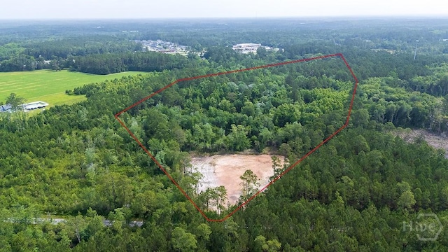 0 Zettler Rd, Springfield, GA 31329