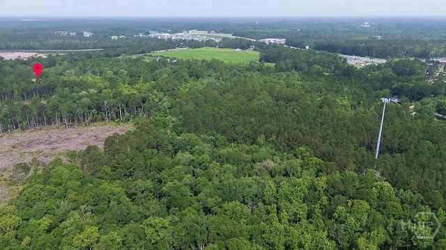 0 Zettler Rd, Springfield, GA 31329