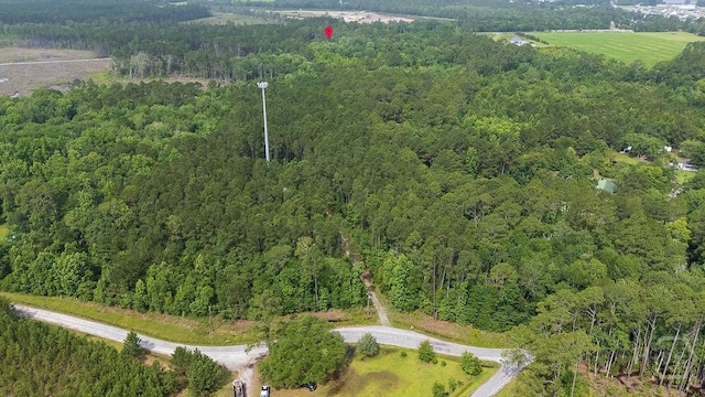 0 Zettler Rd, Springfield, GA 31329