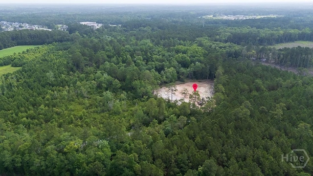 0 Zettler Rd, Springfield, GA 31329