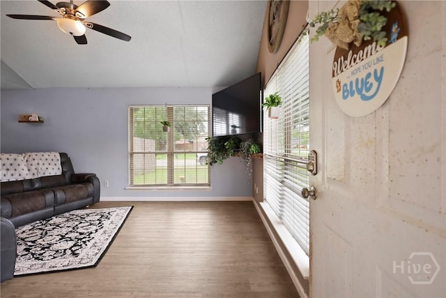 316 Clairemore Cir, Hinesville, GA 31313 - living room featuring lofted ceiling, plenty of natural light, wood finished floors, and a ceiling fan