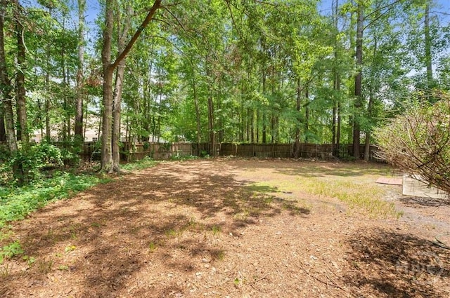 65 Golden Gate Dr, Pooler, GA 31322 - view of yard