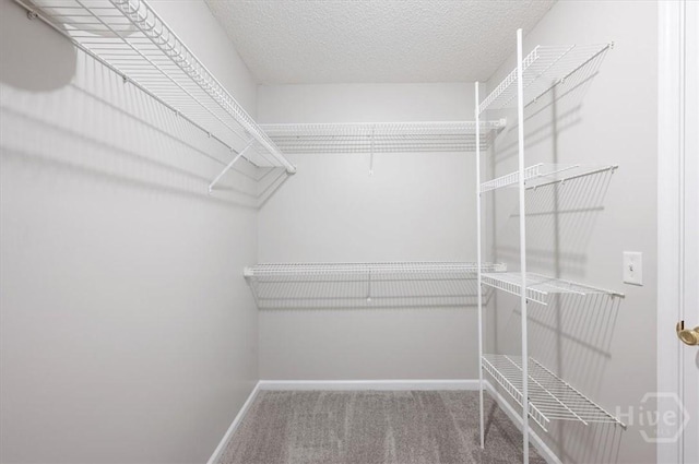 65 Golden Gate Dr, Pooler, GA 31322 - spacious closet featuring carpet floors