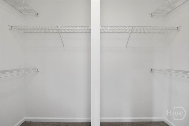 15 Springwater Dr, Port Wentworth, GA 31407 - view of spacious closet