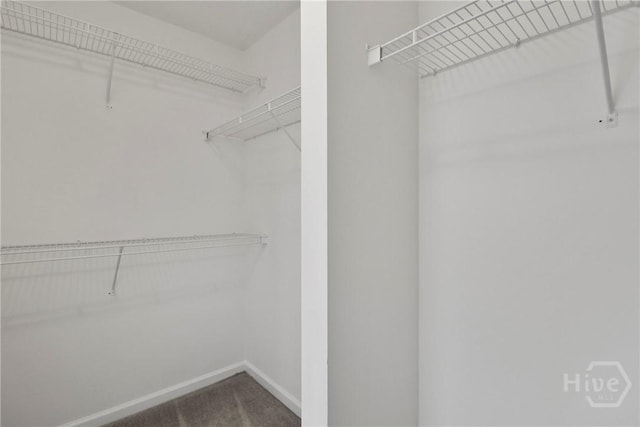 15 Springwater Dr, Port Wentworth, GA 31407 - spacious closet with carpet