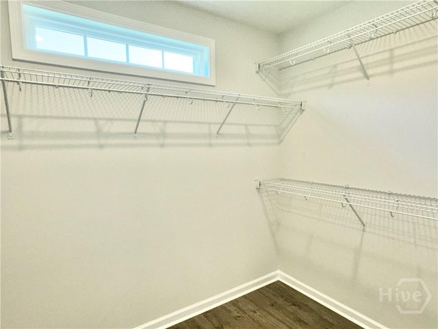 135 Melody Dr, Pooler, GA 31322 - spacious closet with dark wood-type flooring
