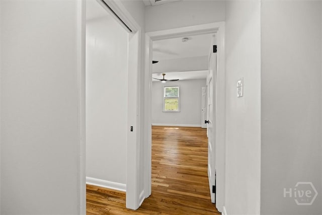 1304 NE 36th St, Savannah, GA 31404 - photo 26