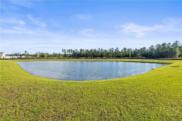 206 Coneflower Rd, Bloomingdale, GA 31302 - water view