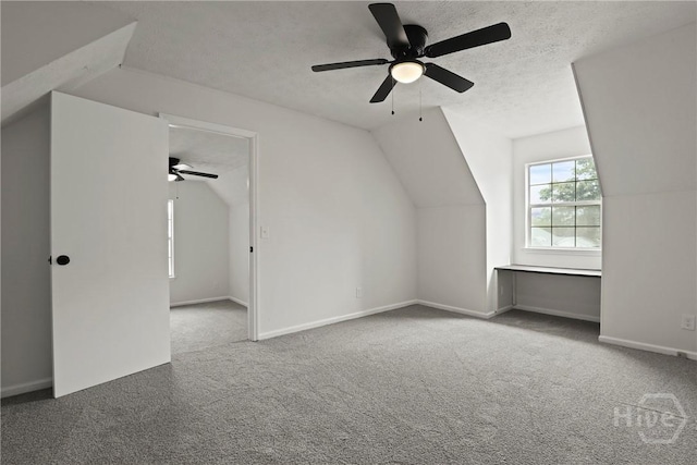 217 Bordeaux Ln, Savannah, GA 31419 - additional living space with carpet, ceiling fan, vaulted ceiling, and a textured ceiling