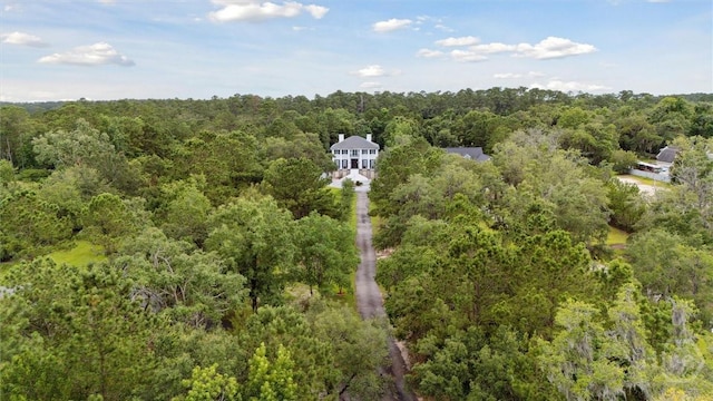 45 Shore Rd, Savannah, GA 31419 - view from above of property with a forest