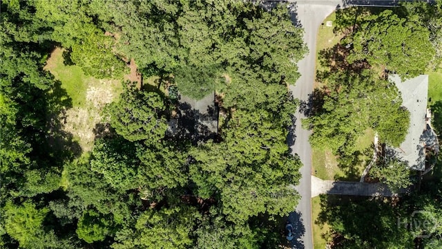 7012 Sandnettles Dr, Savannah, GA 31410 - view of property location