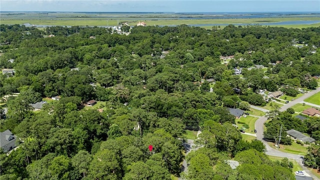 7012 Sandnettles Dr, Savannah, GA 31410 - aerial overview of property's location with a heavily wooded area and a nearby body of water