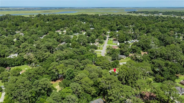 7012 Sandnettles Dr, Savannah, GA 31410 - aerial overview of property's location with a nearby body of water and a forest