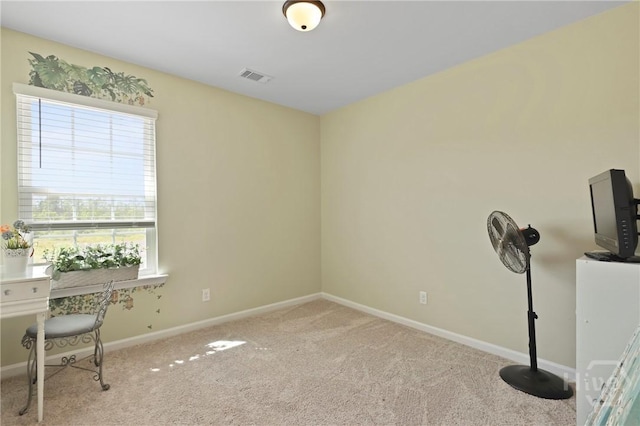 1447 Arnold Dr SE, Allenhurst, GA 31301 - unfurnished office with carpet floors and baseboards