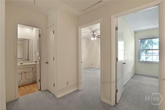 455 Mall Blvd Unit 39, Savannah, GA 31406 - hallway with light colored carpet and baseboards
