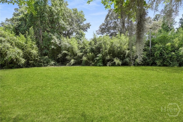 455 Mall Blvd Unit 39, Savannah, GA 31406 - view of green lawn