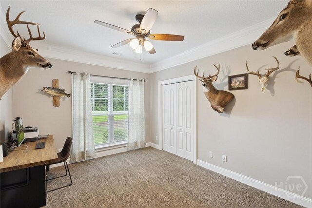 2005 Hodgeville Rd, Rincon, GA 31326 - photo 40
