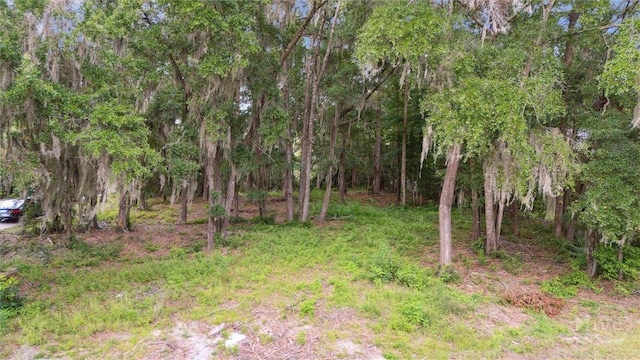 30 Sabal Dr, Richmond Hill, GA 31324