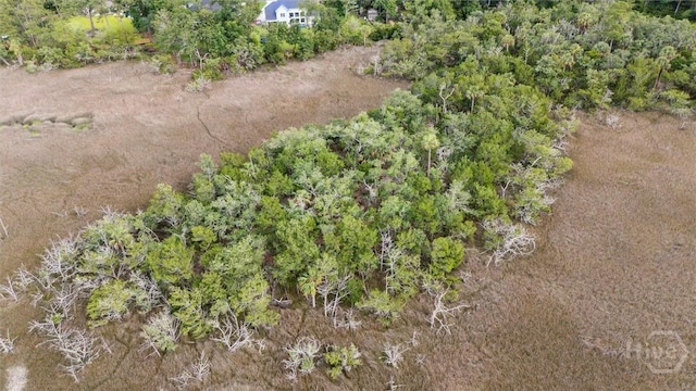 30 Sabal Dr, Richmond Hill, GA 31324