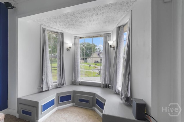 75 Brown Thrasher Ct, Richmond Hill, GA 31324 - unfurnished room featuring a textured ceiling and carpet flooring