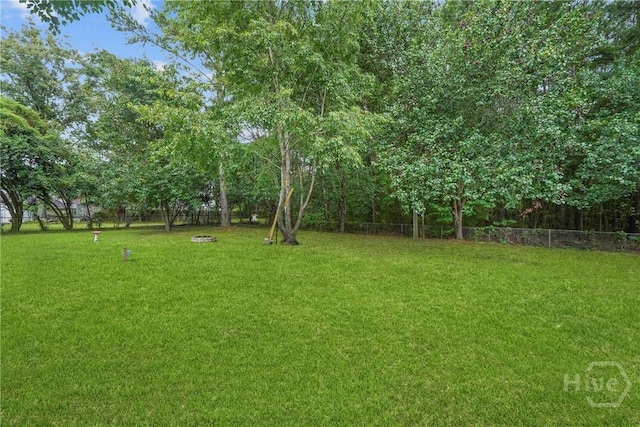 75 Brown Thrasher Ct, Richmond Hill, GA 31324 - view of yard