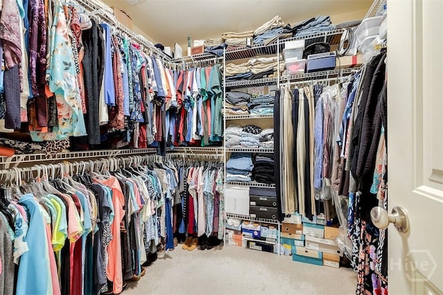 144 Sweetwater Cir, Rincon, GA 31326 - spacious closet with carpet