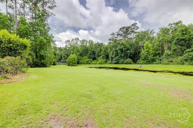 144 Sweetwater Cir, Rincon, GA 31326 - view of green lawn