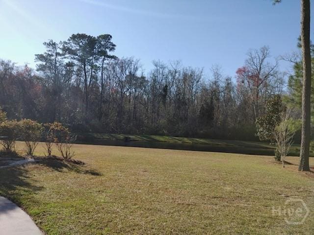 144 Sweetwater Cir, Rincon, GA 31326 - view of grassy yard